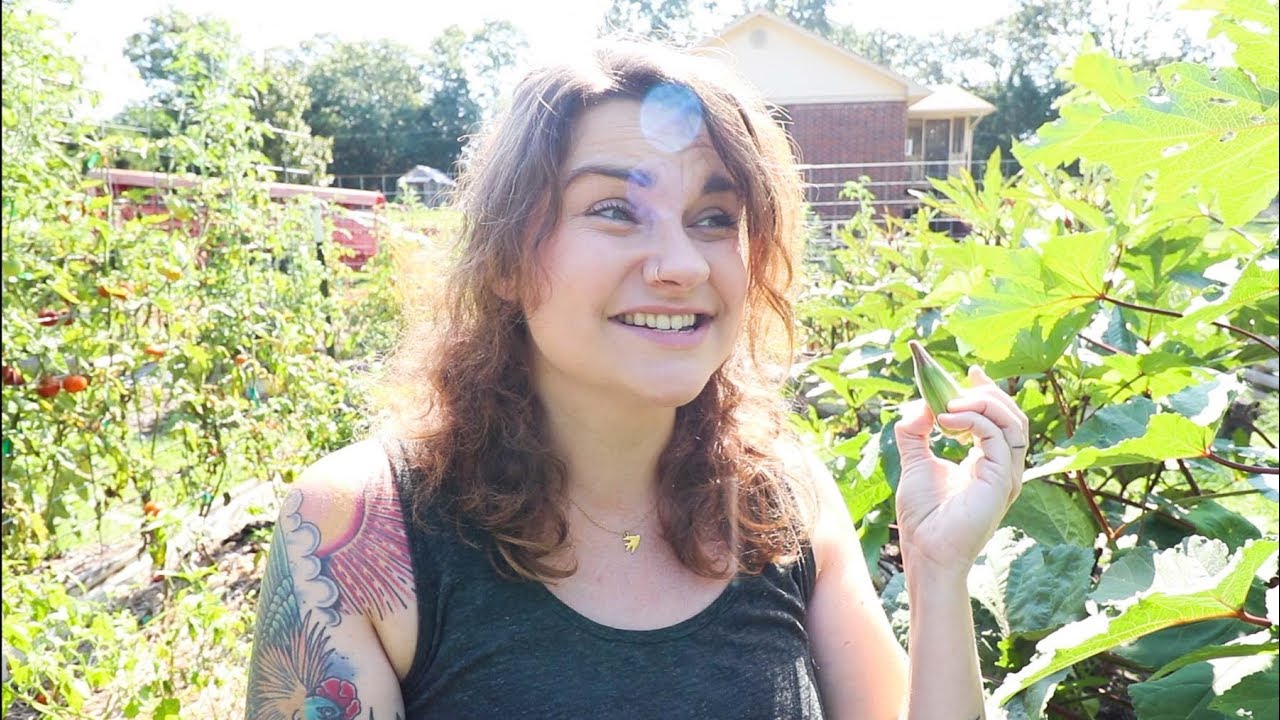 For The Love of Okra (Why Grow It and What to Do With It!) | Roots and Refuge Farm