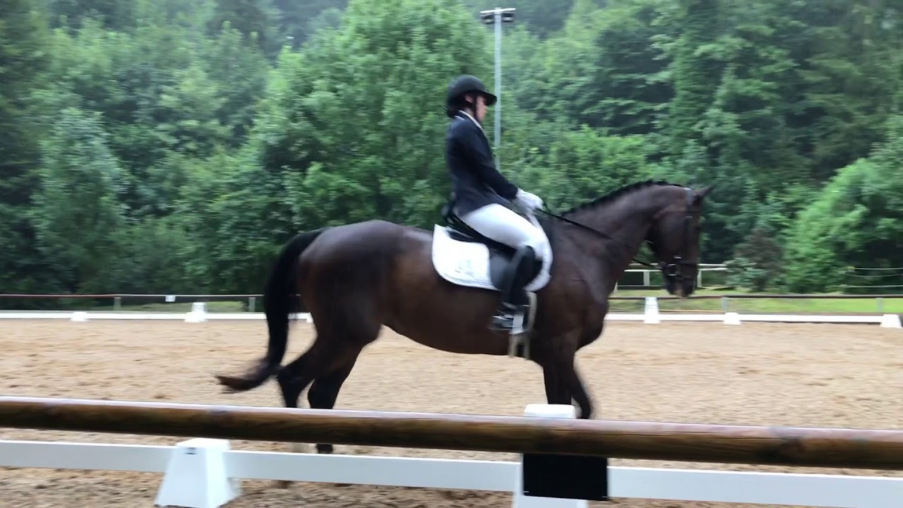 A** (A9/1) Dressur