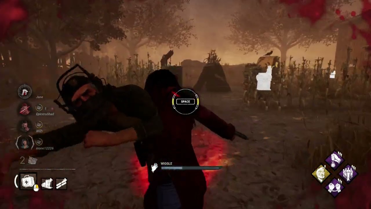 Pig DBD