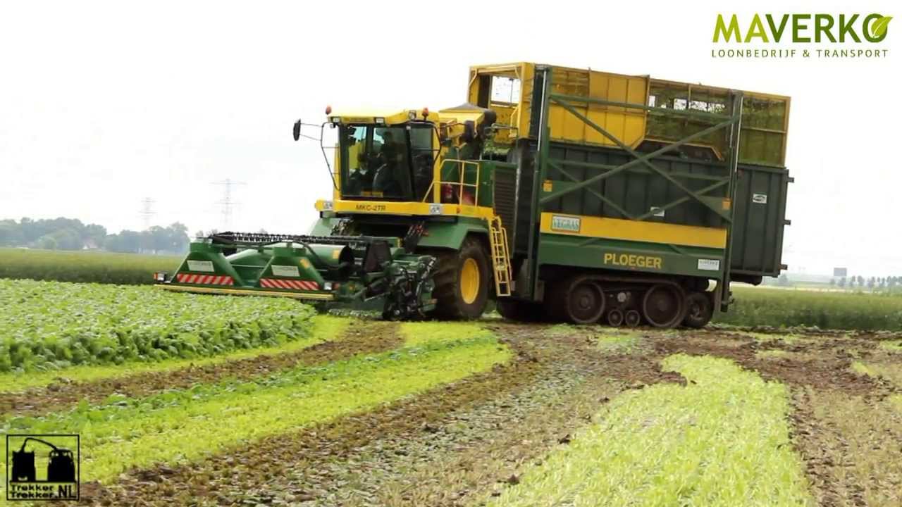 Spinach harvest with a Ploeger MKC-2TR in on Tracks! Contractor Maverko