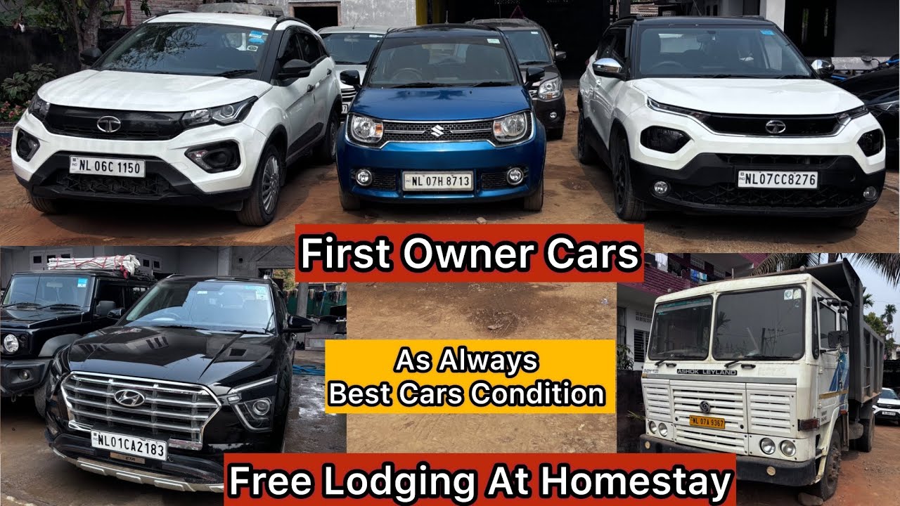 Автосалон Yang | Лучшая коллекция автомобилей |