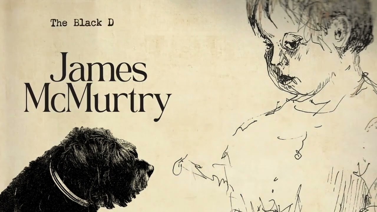 James McMurtry  - Laredo (Small Dark Something)  [Official Audio]