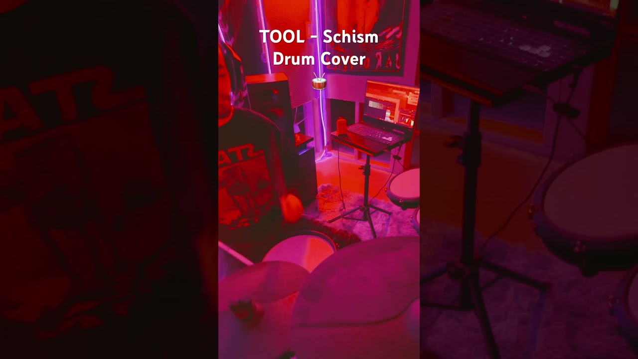 TOOL - Schism 