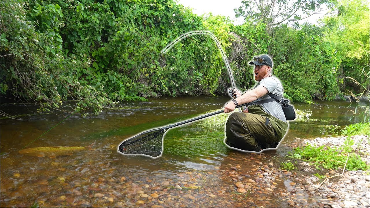 I Couldn't Believe What I Caught From This Hidden Stream!