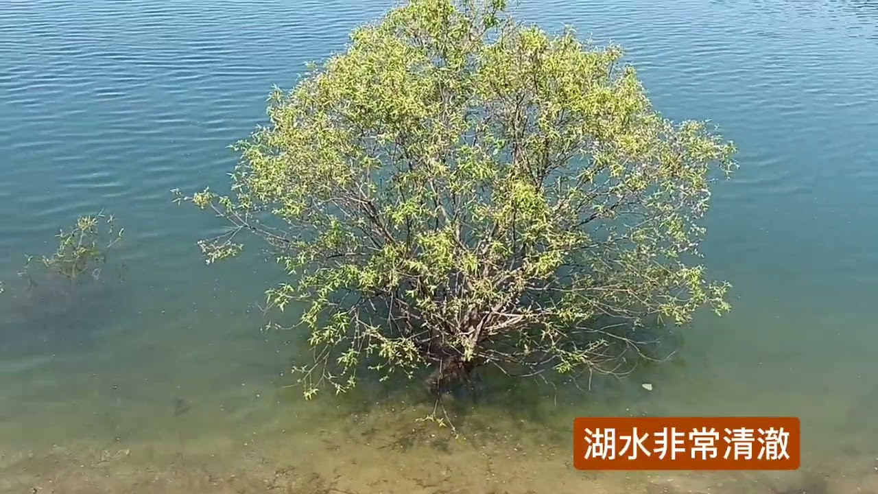 〔薩伊達的慢遊〕#韓國#全羅南道#光州市광주광역시#光州湖광주호