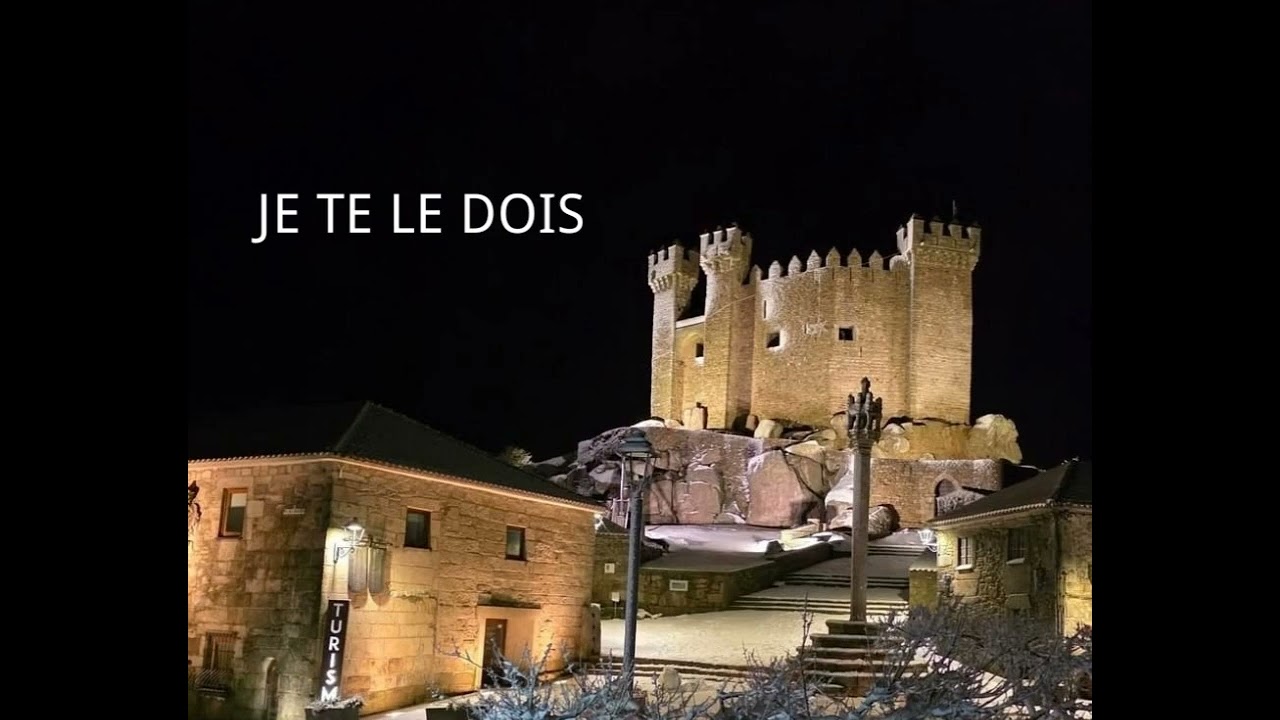 SOULSALTY - JE TE LE DOIS 