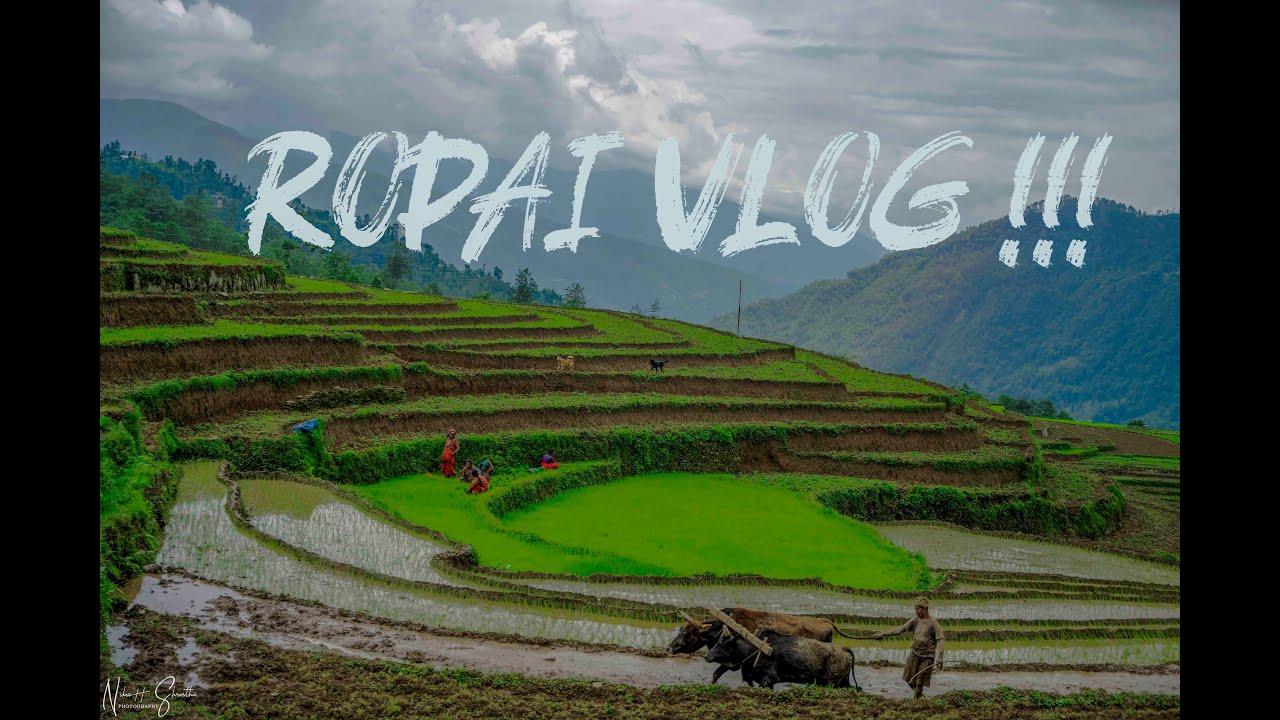 ROPAI VLOG || TRIP TO KATUWACHAUR || VLOG 3 || DOLAKHA || NEPAL|| 2078 ||