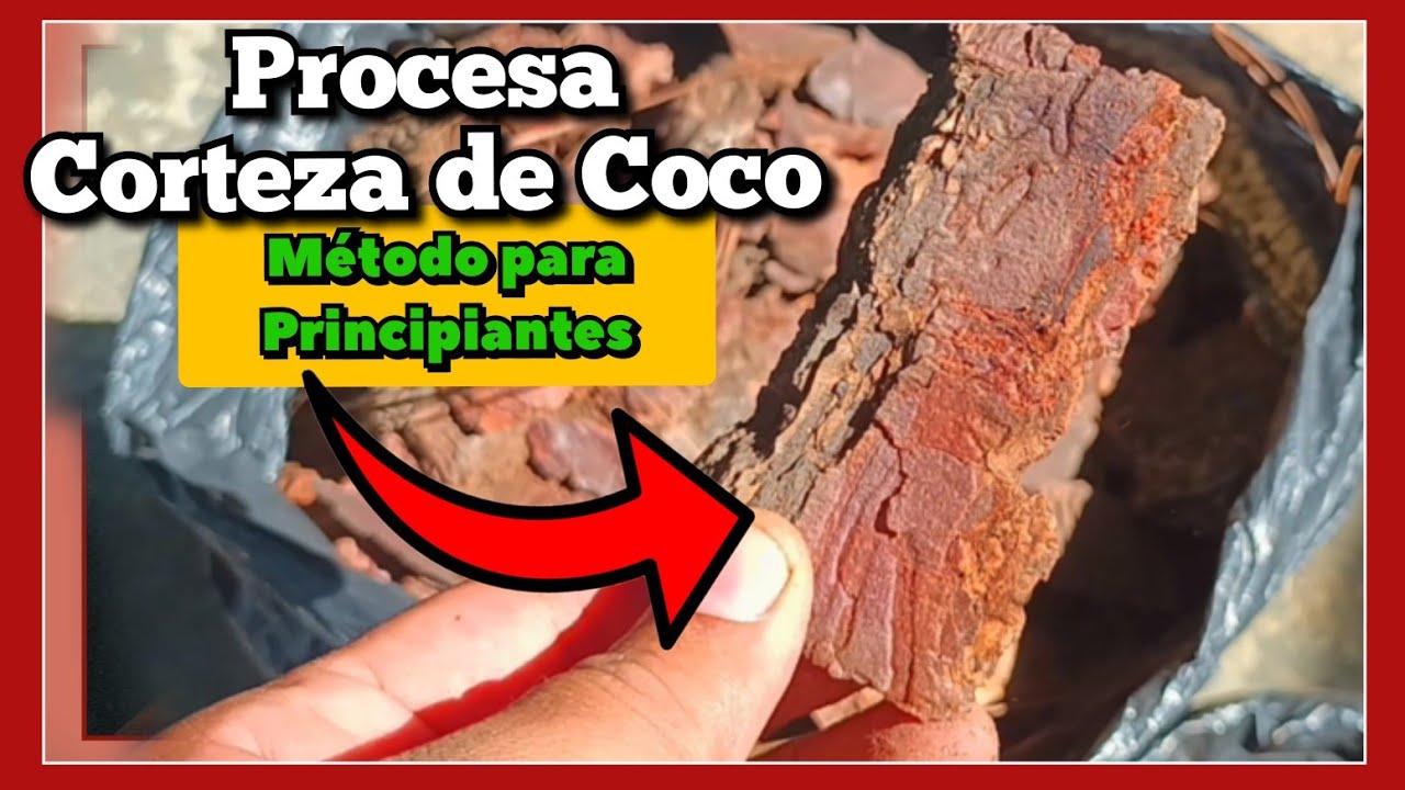 ✅️ Aprender cómo procesar la corteza de pino de forma segura y efectiva.🌲🌲