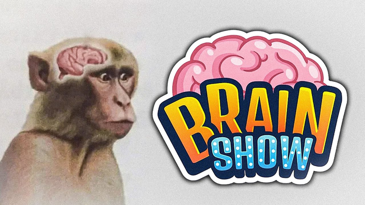 4 MAŁPY WALCZĄ O TYTUŁ 𝕄𝕆ℕ𝔻ℝ𝔼𝕁 𝕄𝔸𝕌ℙ𝕐 // Brain Show