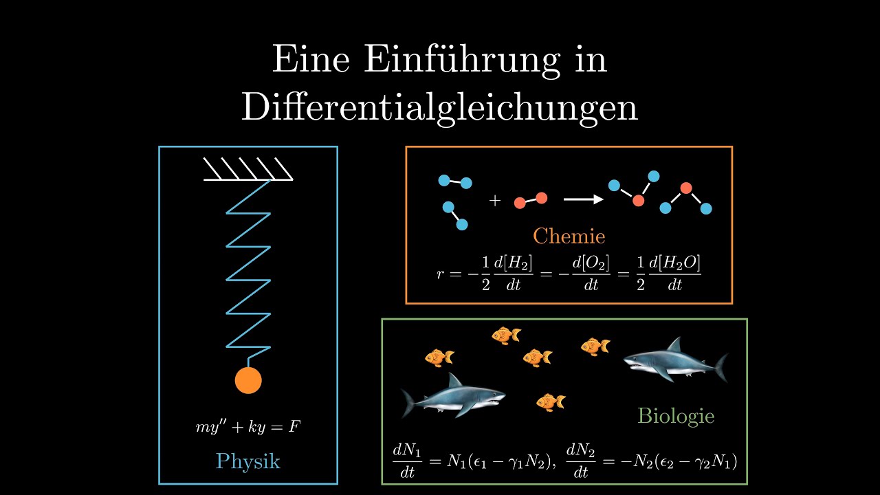 Eine Einführung in Differentialgleichungen