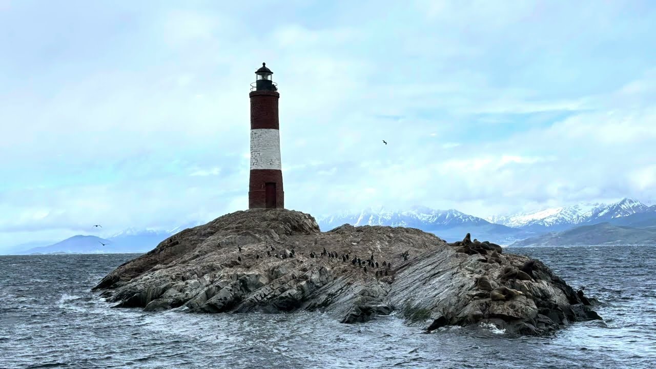 Beagle Channel cruise - Ushuaia 