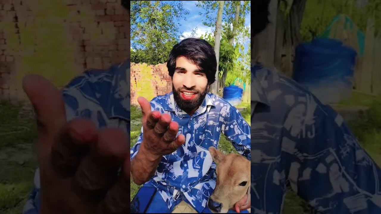 Rishtdaar Vs Kuklistan 🤣 || Funny Reels Collection || Hooy