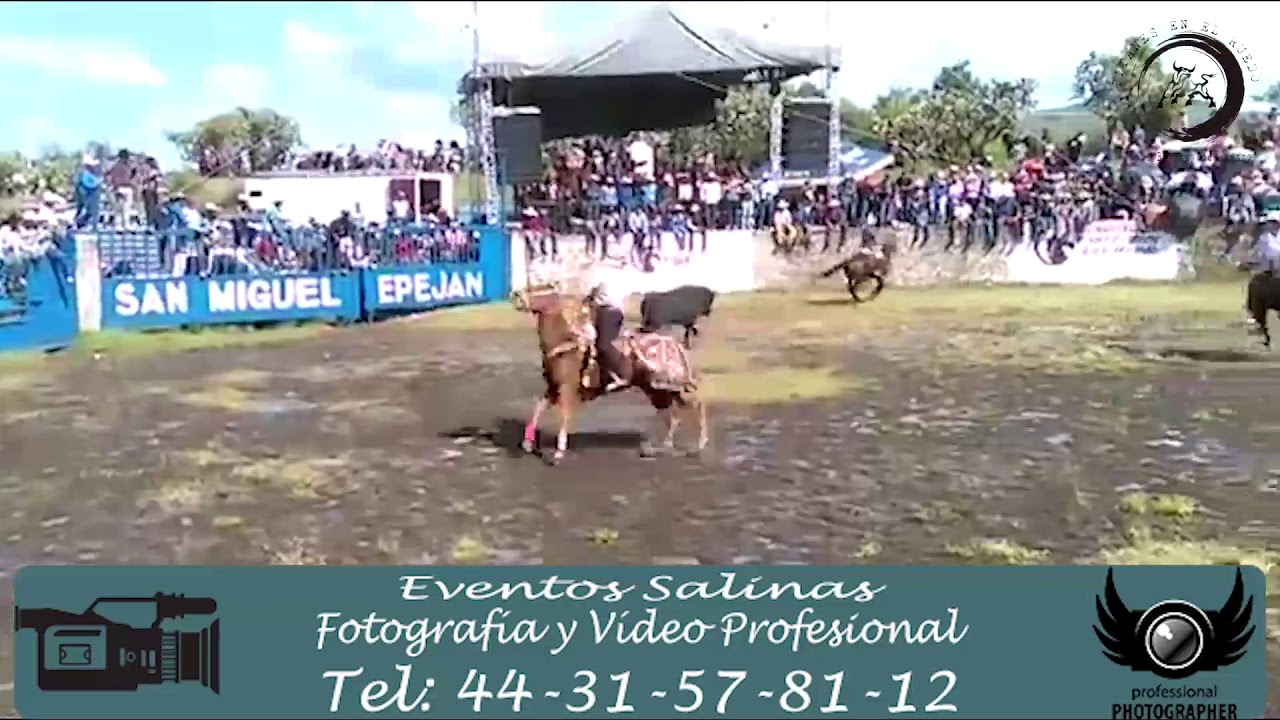TITANES EN EL RUEDO ( Toro: Tiburón de Rancho 