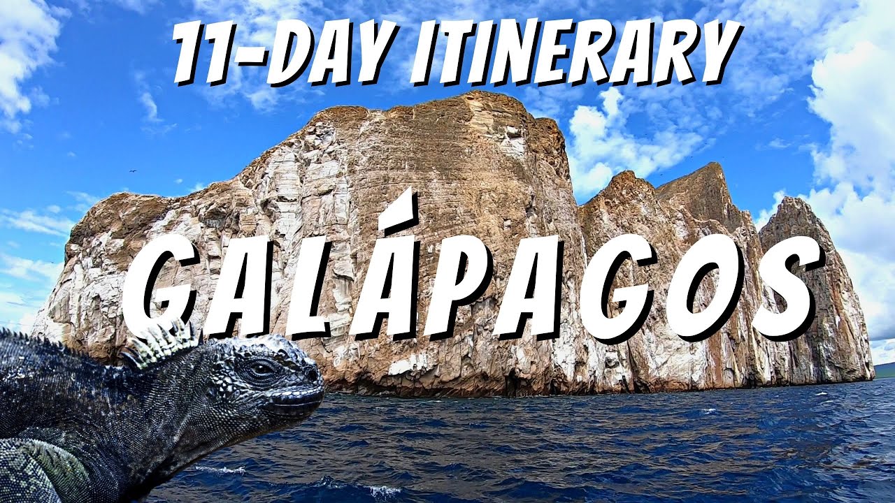 11-DAY ITINERARY GALÁPAGOS ISLANDS, ECUADOR | How To Visit The Galápagos Islands On A Budget