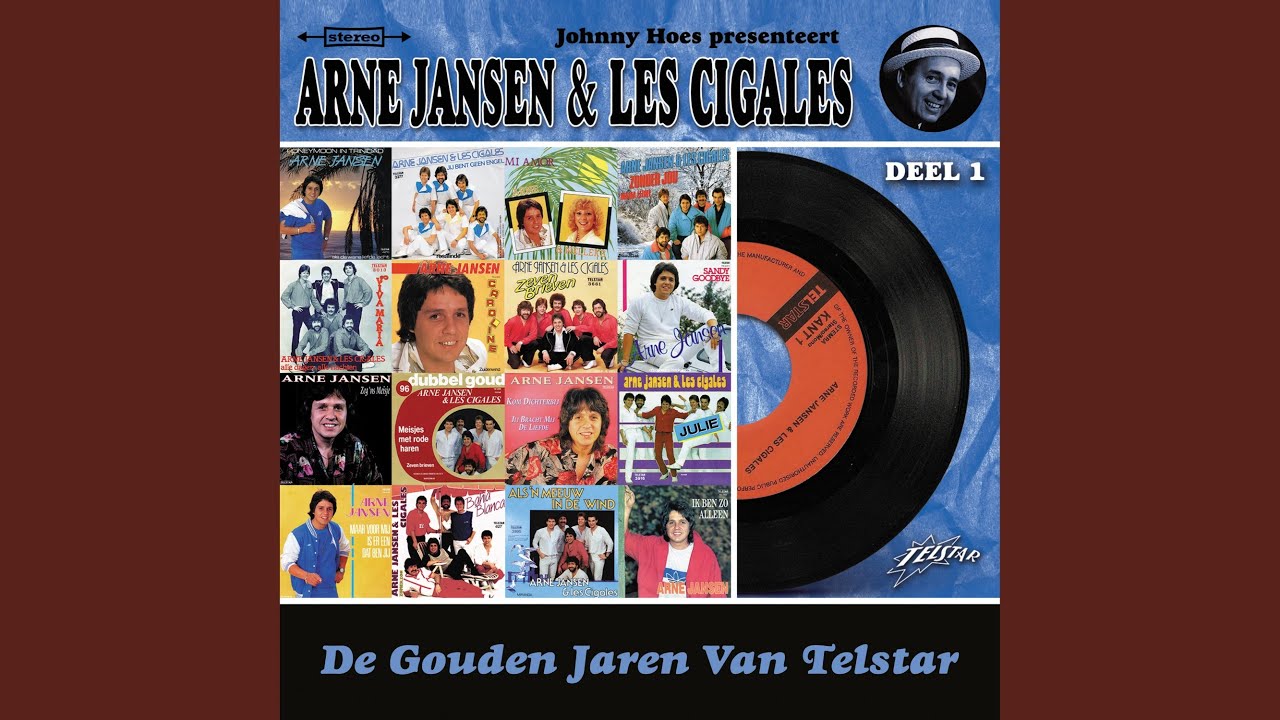 Als 'n Meeuw In De Wind