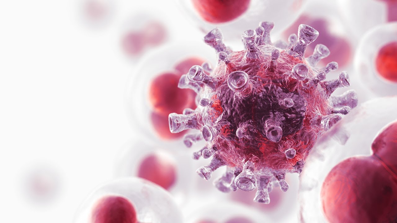 What is Viral Inactivation? 