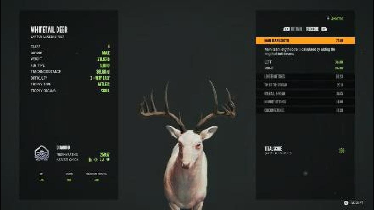 My journey so far on Hunter call of the wild