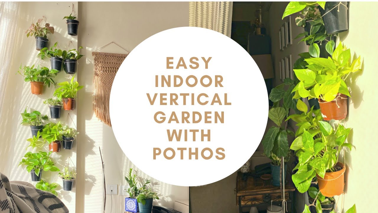 How to display plants on wall | Easy indoor vertical garden | Unique way to style money plant/pothos