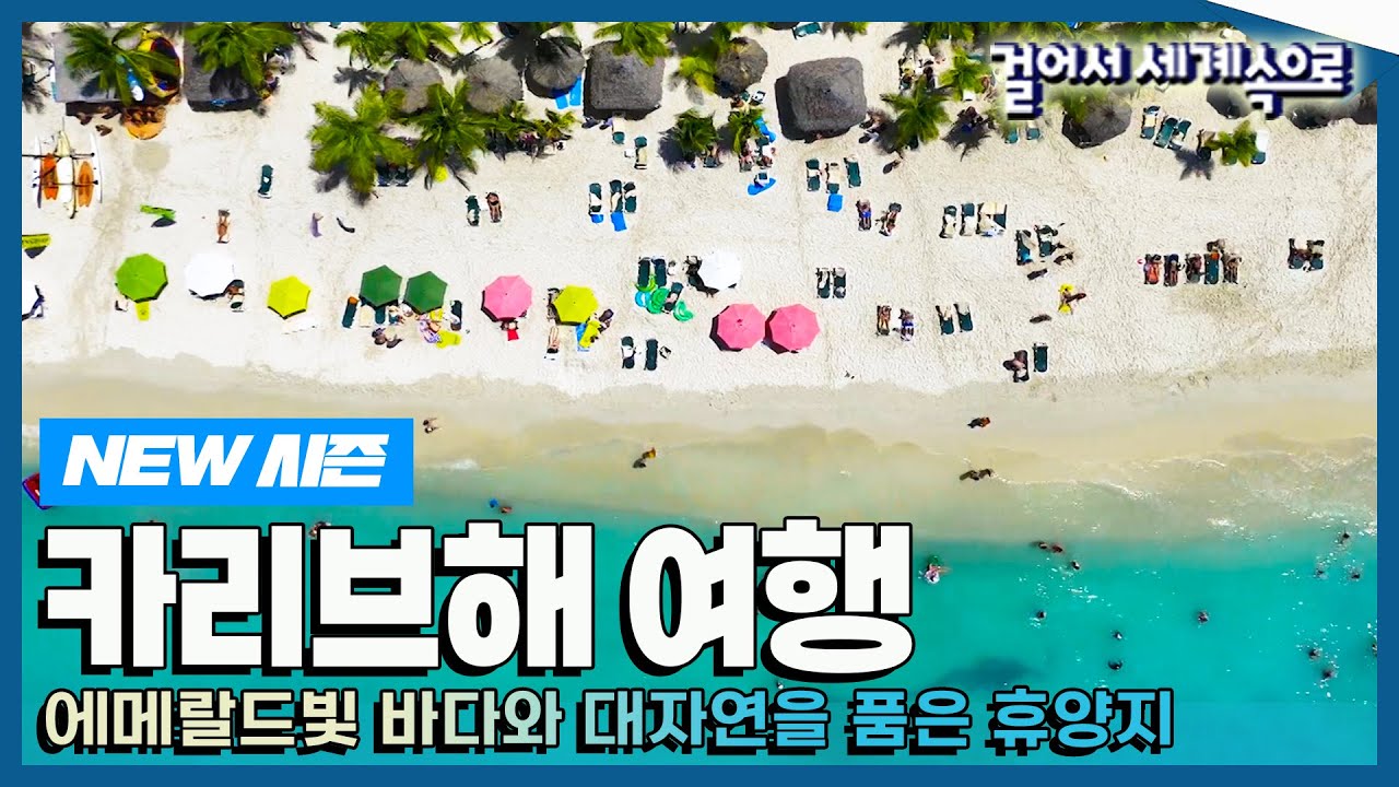 [✨NEW✨#걸어서세계속으로📺] 따사로운 햇살 아래 에메랄드빛 바다를 만날 수 있는 '카리브해' 여행 Trip to Caribbean Sea (KBS_20230408)