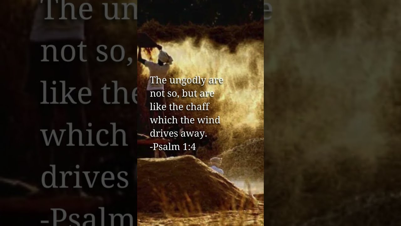 The Blessed Person / Psalm 1:1-6 / Audio Bible with Visuals / NKJV #audiobible #nkjv #bible