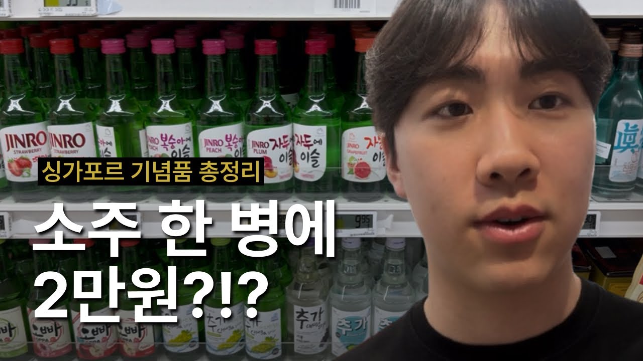 싱가포르 여행 3박 5일 일정ㅣ현지인 추천 맛집, 기념품, 관광 완벽정리! [1일차-1]