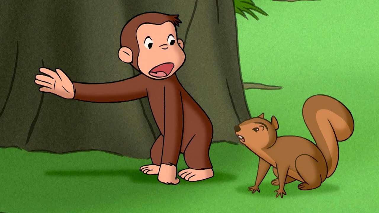 リスが助けを求めてる！ 🐵 おさるのジョージ