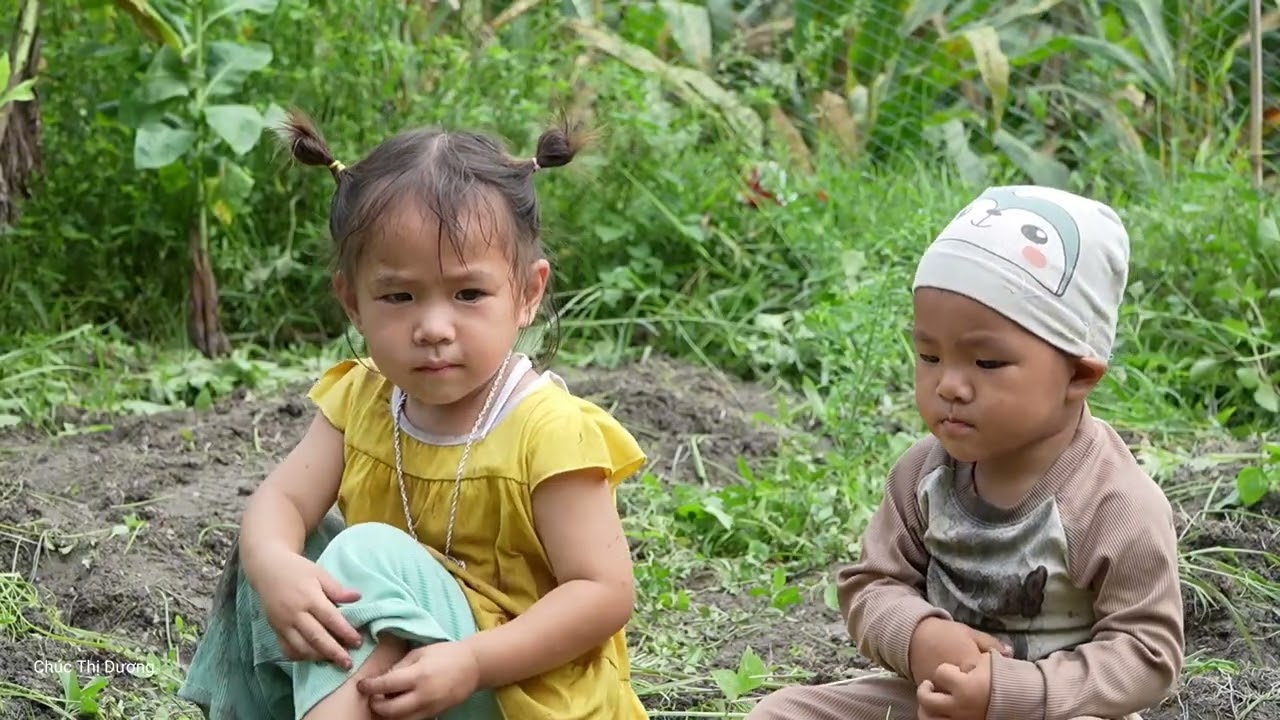 How to Harvest Giant Spring Onion Garden to Sell at Market - Cooking for Children to Eat