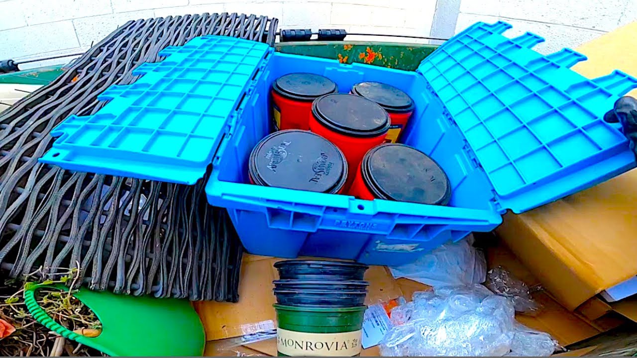 I Went Dumpster Diving at 10 Big Retail Stores