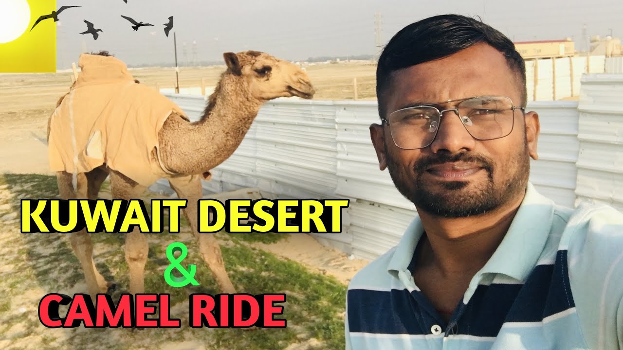 Kuwait Desert 🐪 Safari !! Camel Ride !!Sarjha Desert (Sulabia)