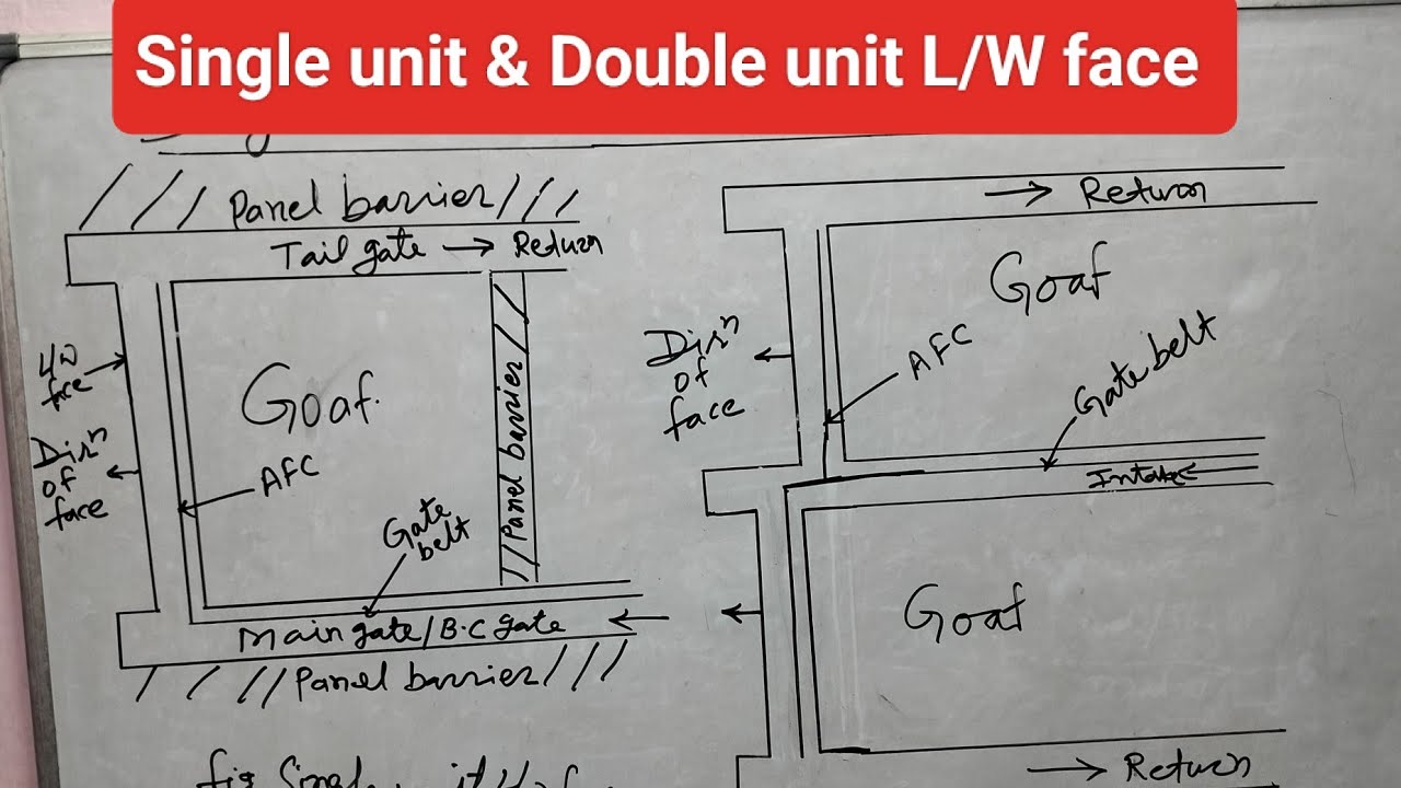 Compare Single unit & Double unit L/ W face