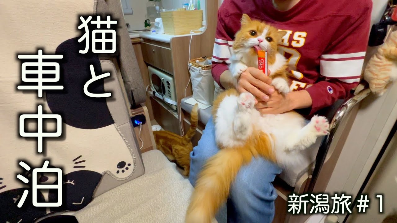 【新潟旅800km♯１】４泊５日夫婦と猫でキャンカー旅