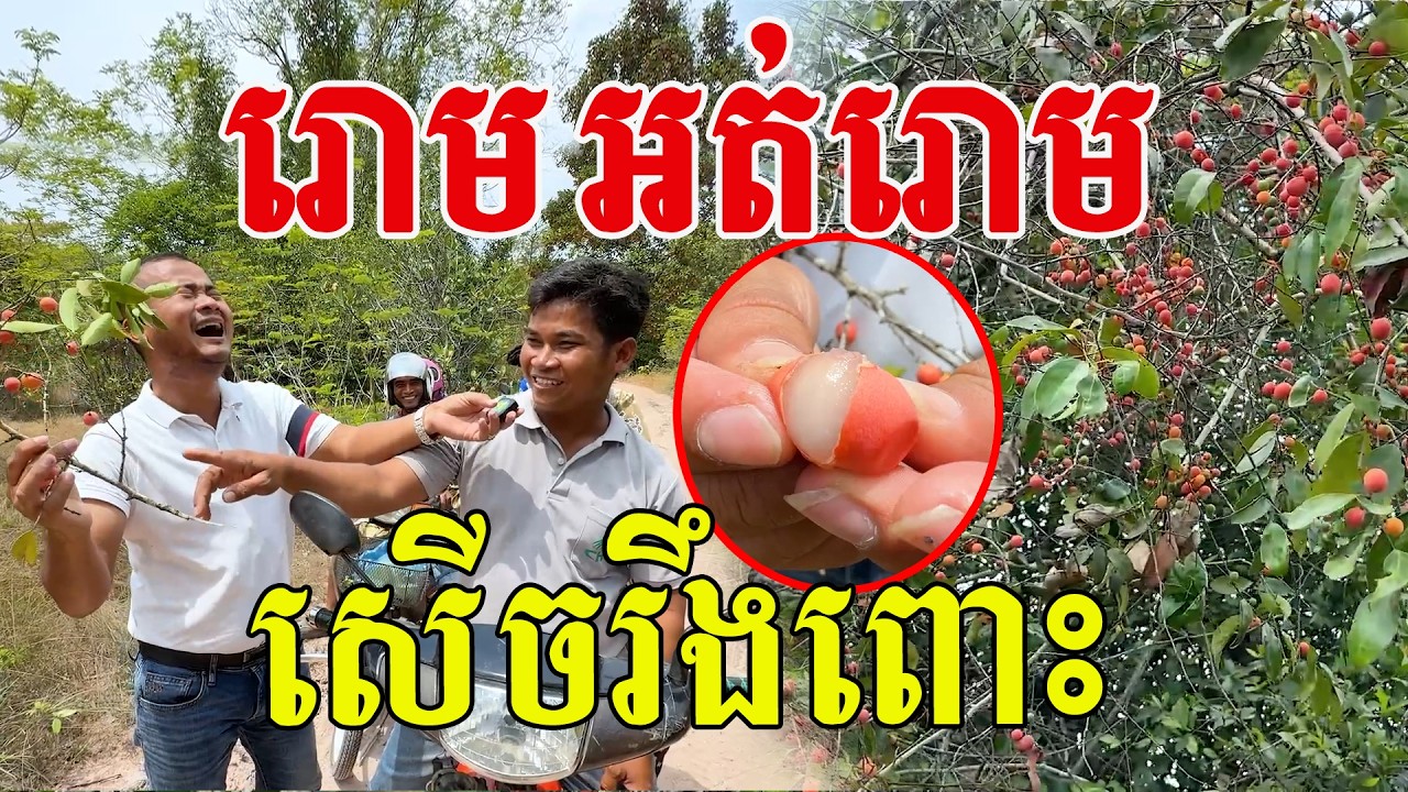 មានរោម​ អត់រោម សេីចរឹងពោះ​ ផ្លែក្រហមពេញដេីម