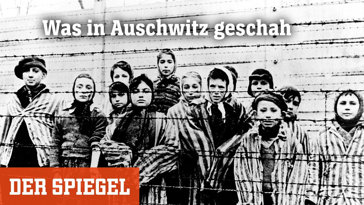Holocaust: Was in Auschwitz geschah | DER SPIEGEL
