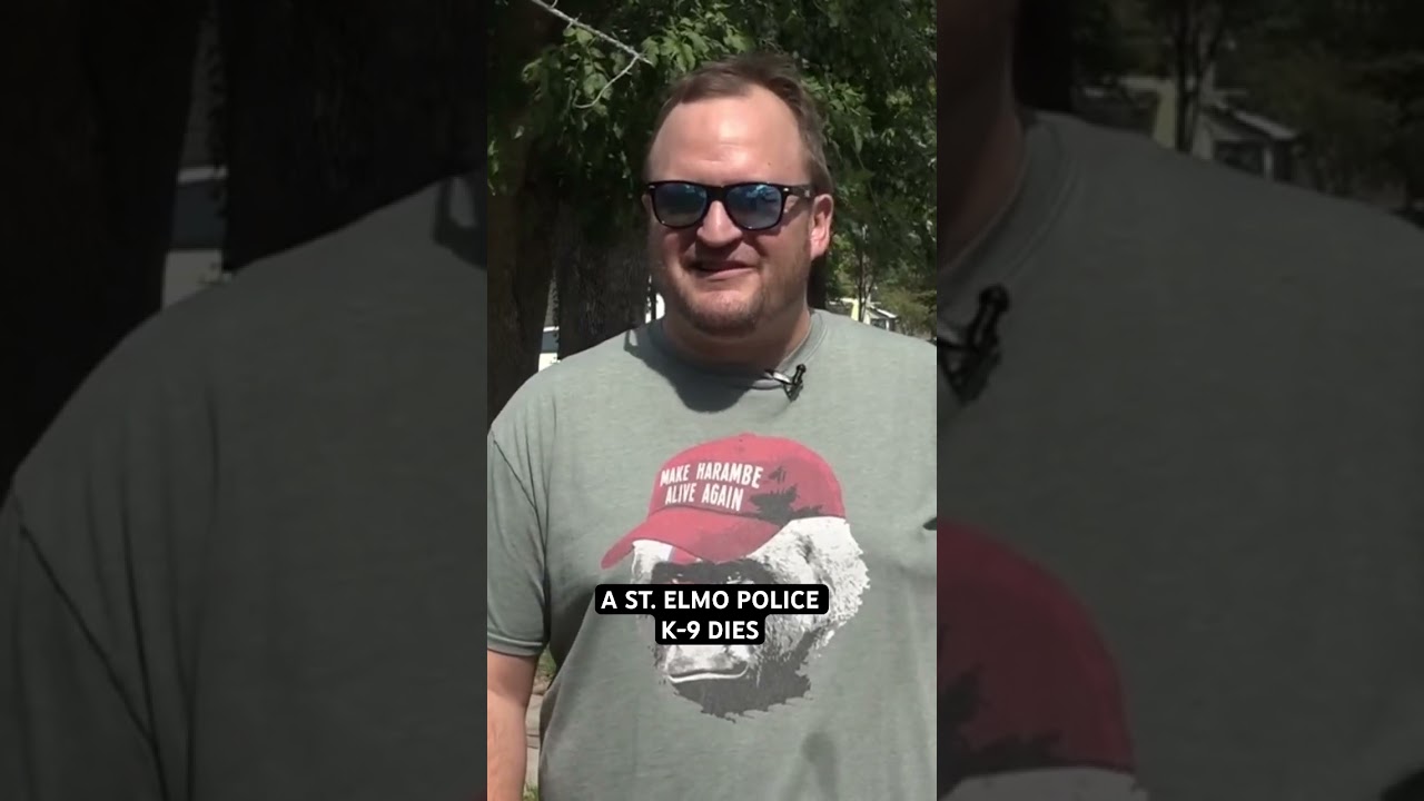 An investigation is underway after St. Elmo police K-9 dies.