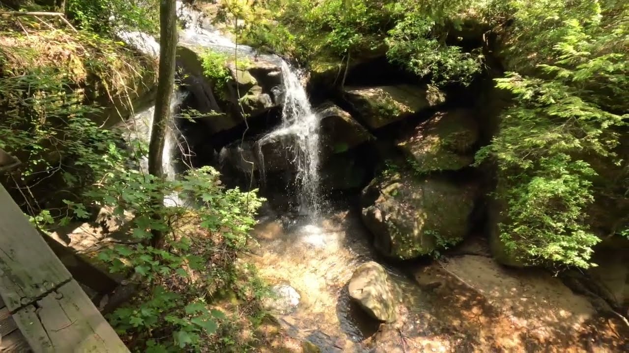 Hiking Dismals Canyon