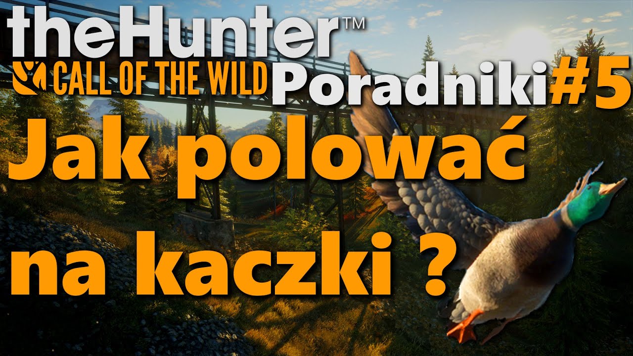 TheHunter: Call of the wild Poradnik #5 -Jak polować na kaczki ? (z DlC lub bez duck and Cover)