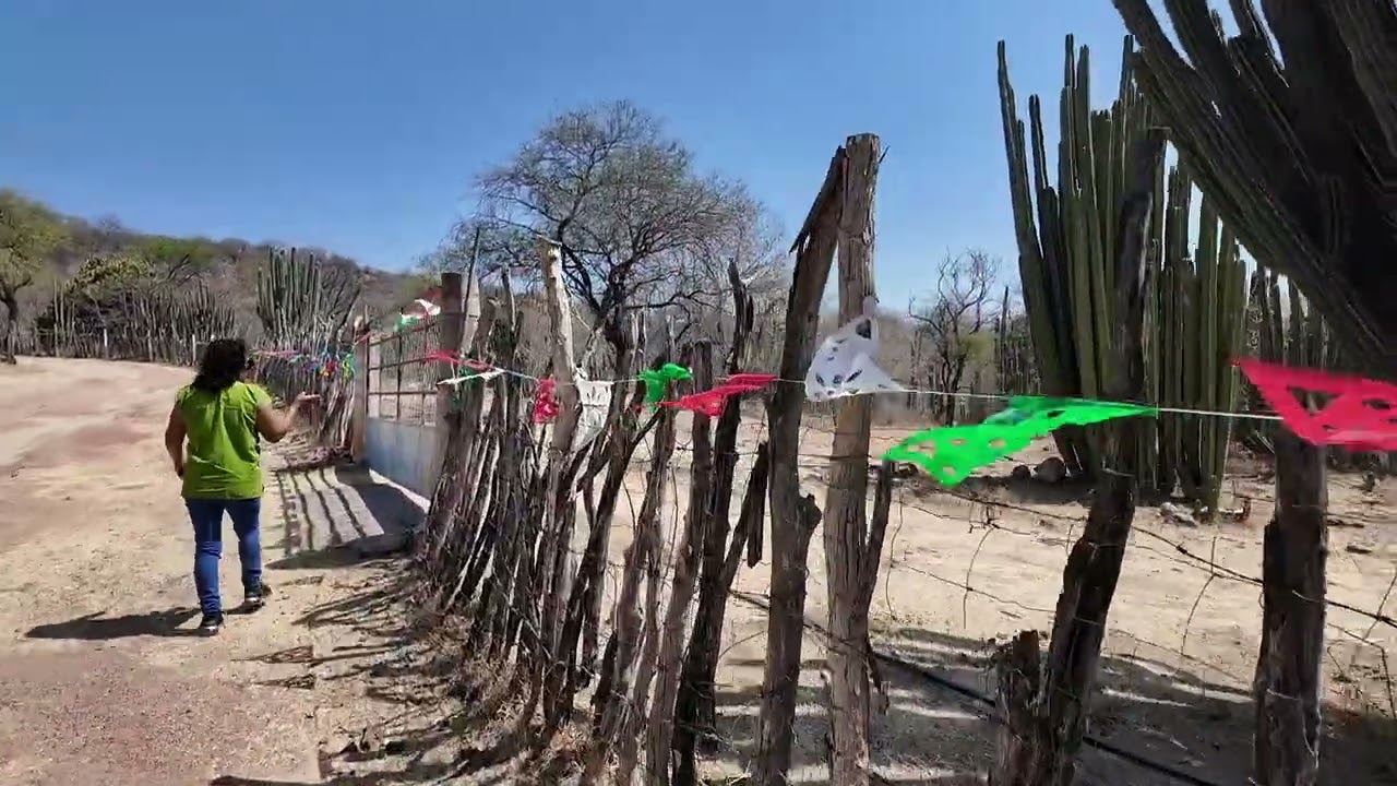 ¡Volvimos A Las Raíces! Historia En El Rancho.