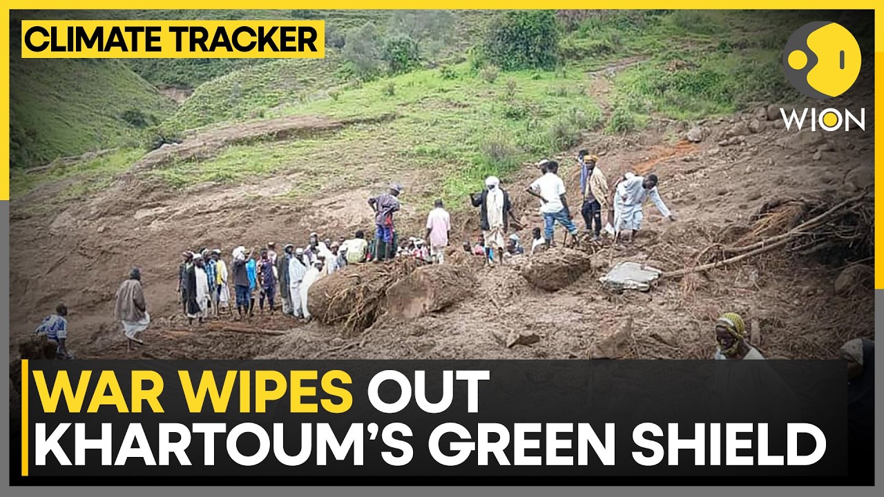 Sudan Climate Crisis: War Devastates Khartoum’s Green Shield | Sudan Climate Crisis Deepens | WION