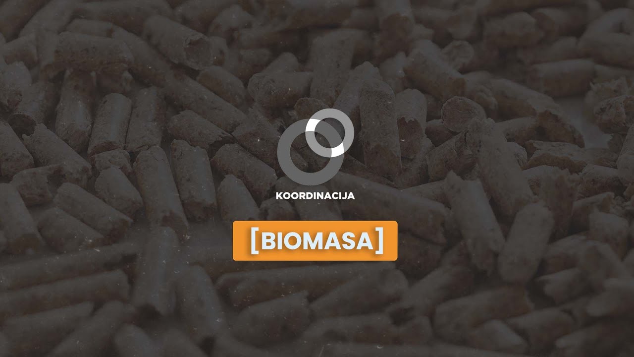 Posjetili smo elektranu na BIOMASU u Grubišnom Polju 🏭