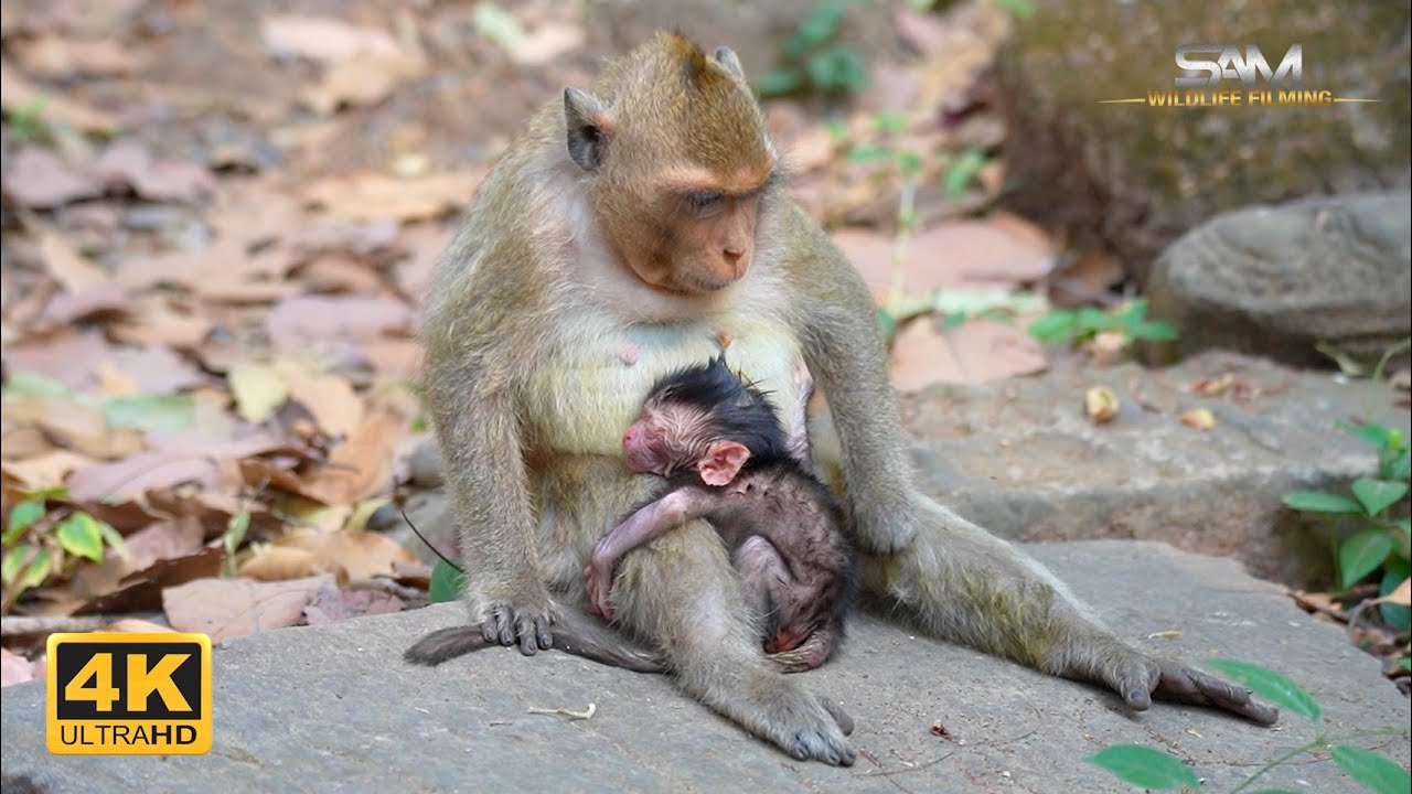 Young Mother, New Life: AMAYA's First Birth
