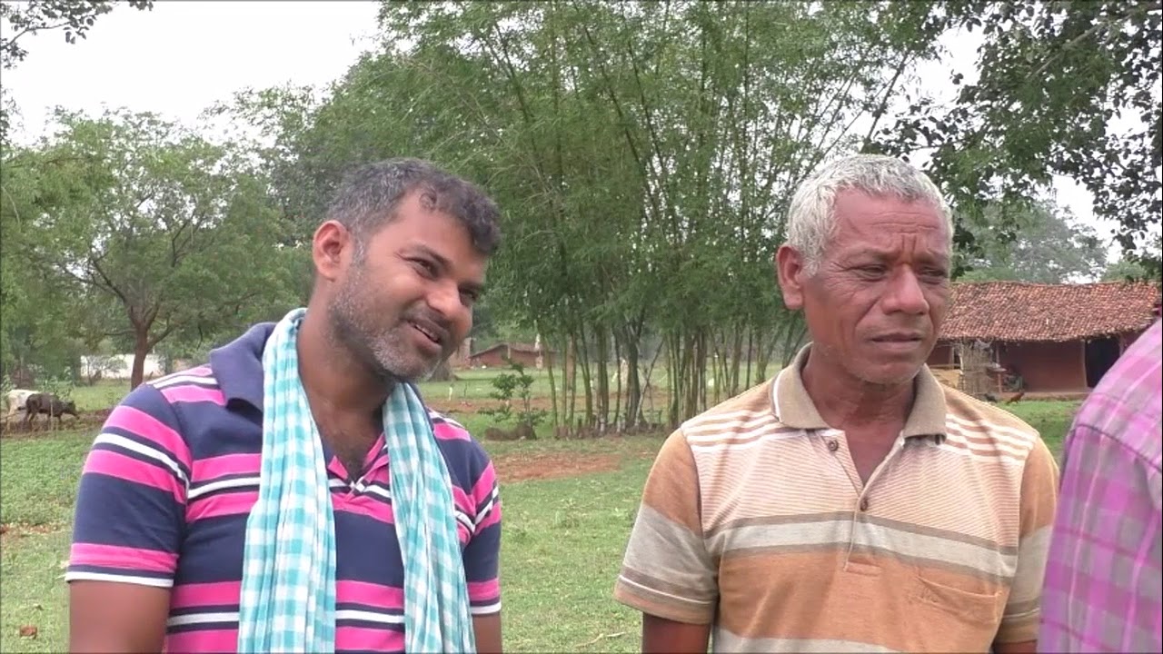 Land preparation and sowing in Pulse( black gram and green gram) Keonjhar