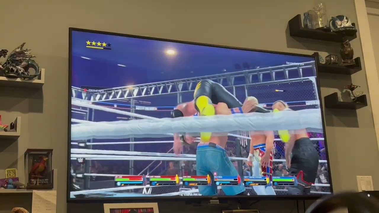WWE Wargames match: team goated vs team jackass