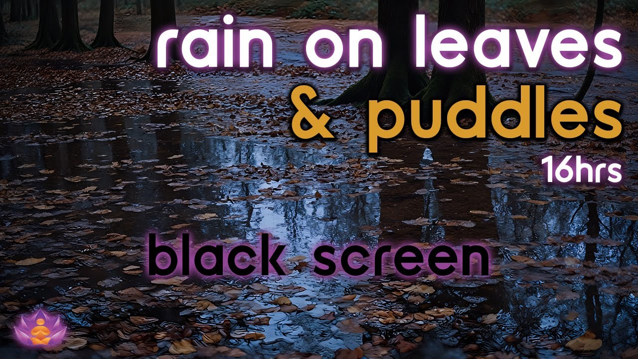 [Black Screen] Rain on Puddles and Leaves No Thunder | Rain Ambience | Rain Sounds for Sleeping