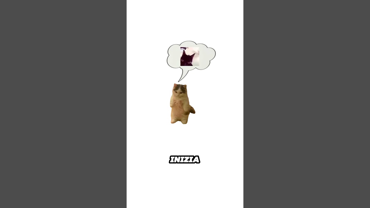 Gelosia Spiegata dai Gatti (Grattino)