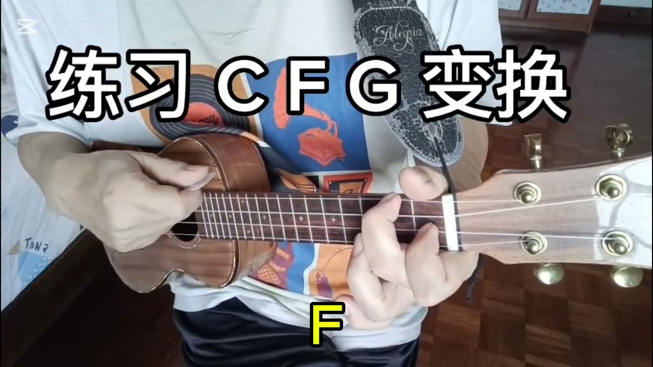 02.C F G 练习和伴奏