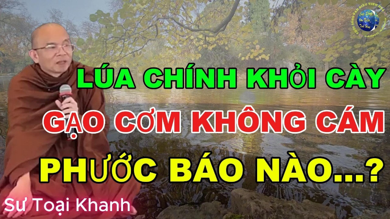 Lúa Chín Không Nhọc Công - Hé Lộ Điều Gì Về Phước Báu?| Sư Toại Khanh | Giác Nguyên