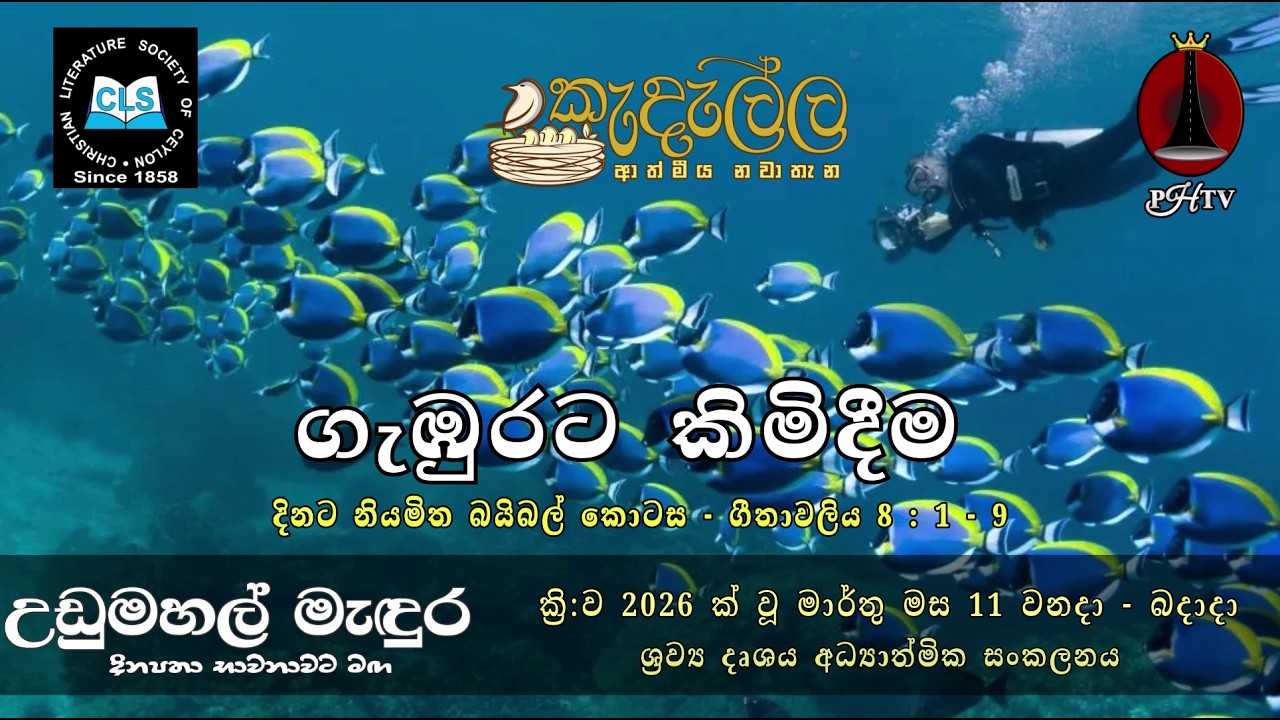 ගැඹුරට කිමිදීම - මාර්තු  11 | Upper Room Sinhala | Daily Devotion