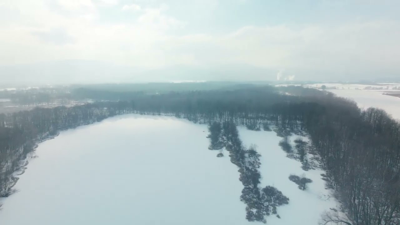 STAWY PTASZYŃSKI 03 02 2026 WOJCIESZYCE