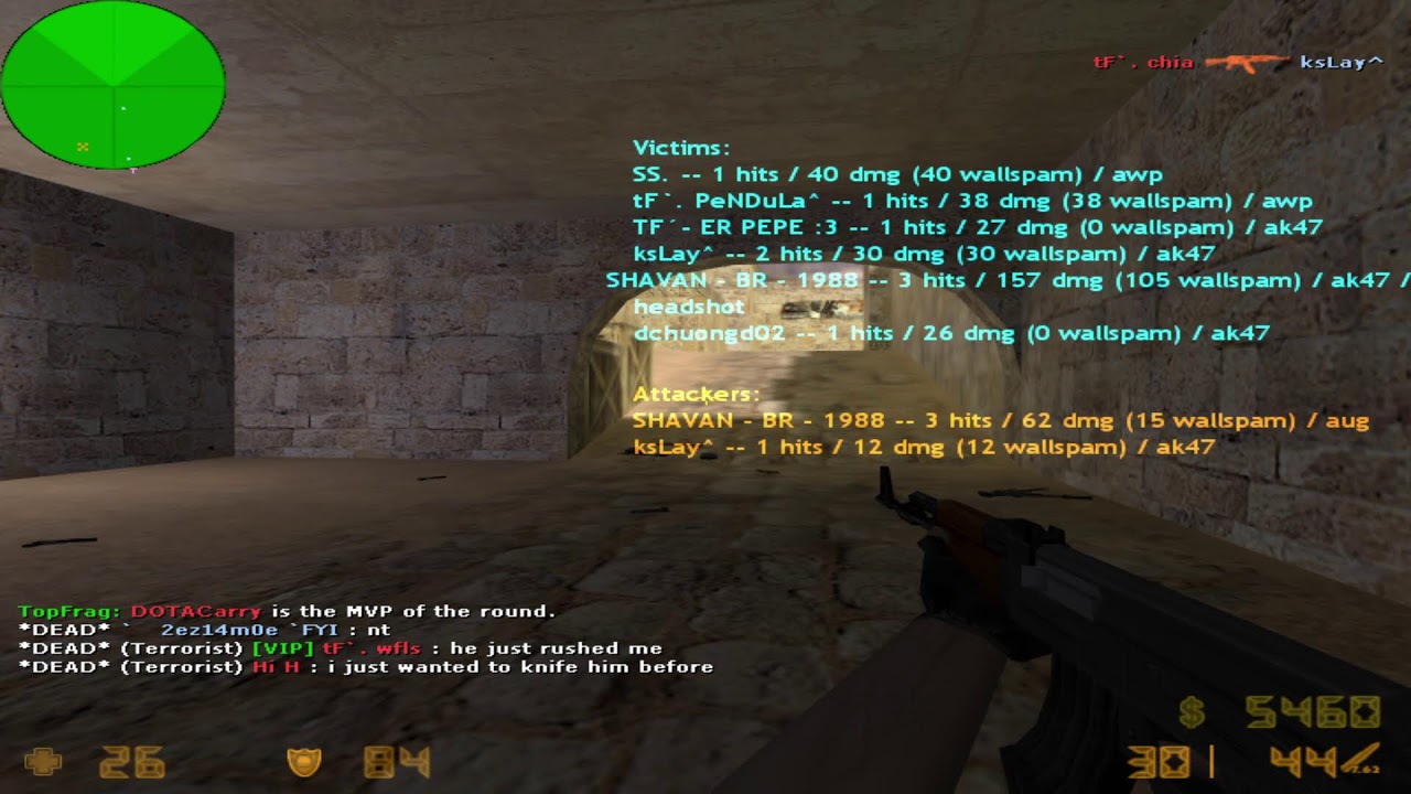 chia counter-strike 1.6 stream