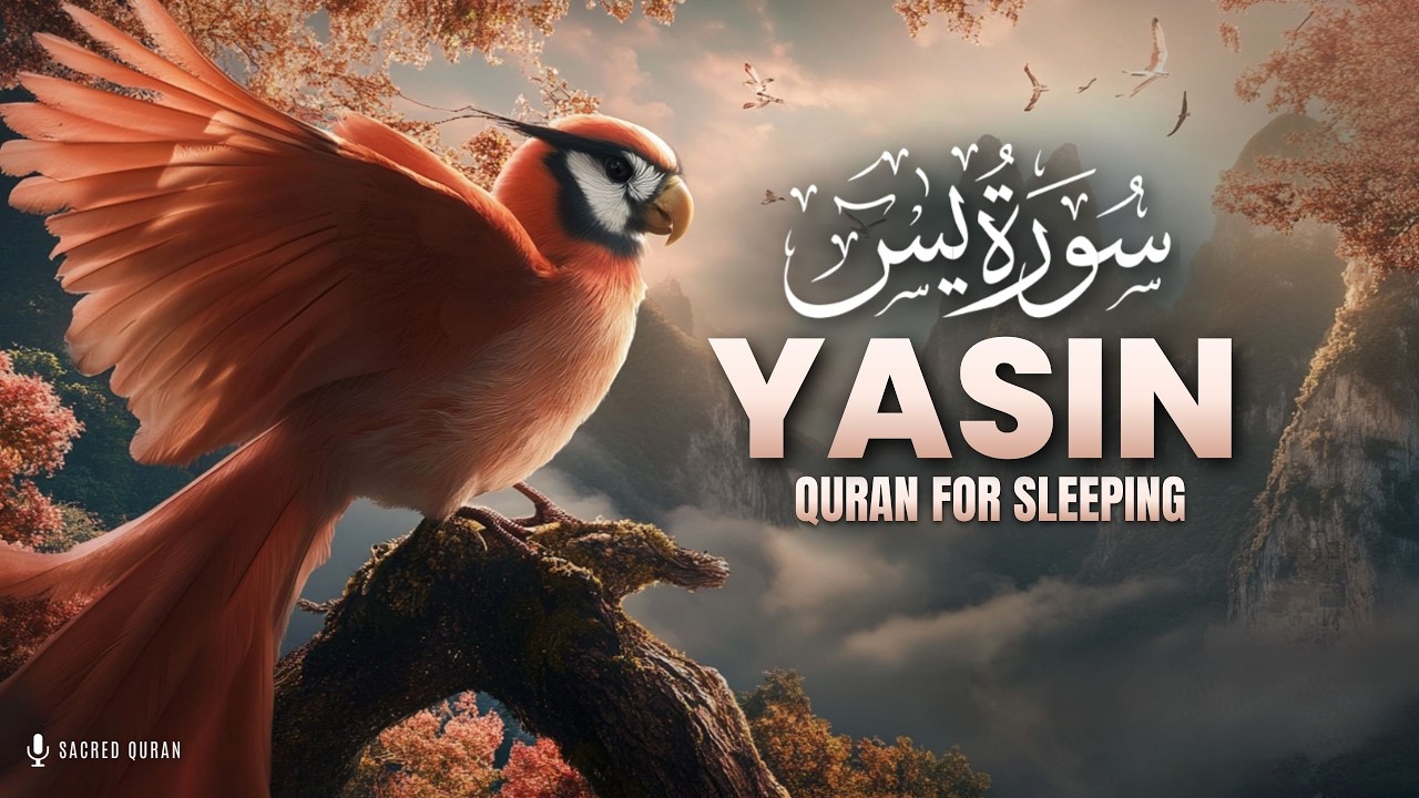 QURAN FOR SLEEP | Surah YASEEN | LOFI QURAN | Get Instant Relief From Mental Fatigue & Overthinking